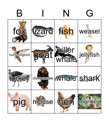 Animals Bingo Card