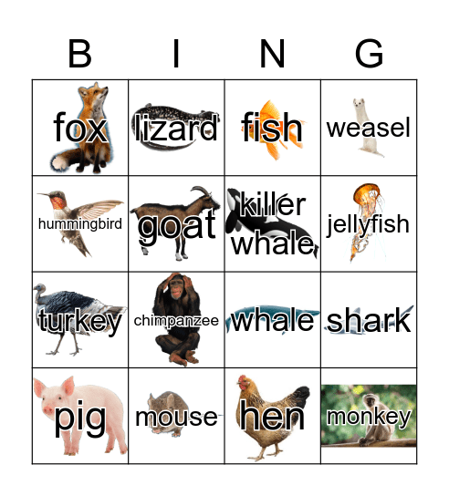 Animals Bingo Card