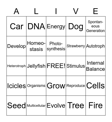 Characteristics of Life Bingo Card