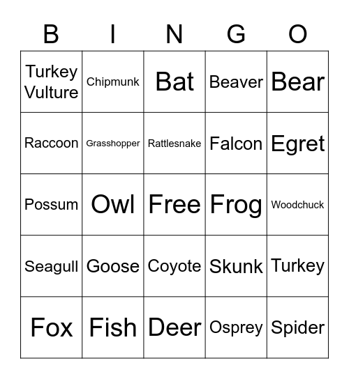 Wildlife Photography Bingo 2.0 Bingo Card