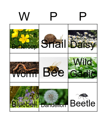 Woodland Park SP Nature Hunt Bingo Card