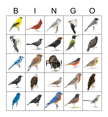 Bird Bingo Card