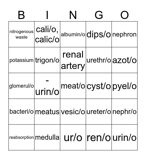 Urinary System (2) Bingo Card