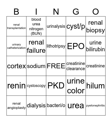 Urinary System (4) Bingo Card