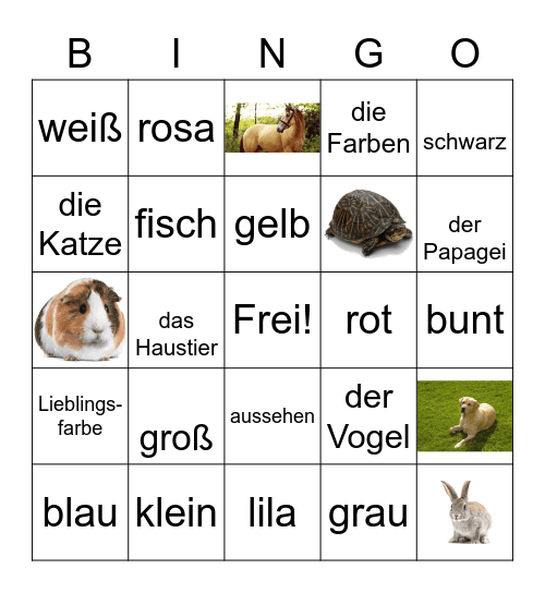 German colors, pets, and more Bingo Card