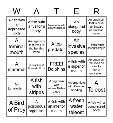 Aquarium Bingo Card