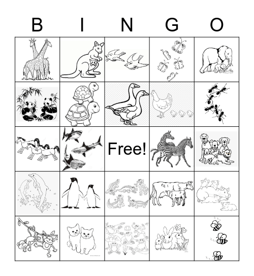 Plural -S BINGO Card