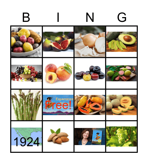 Esperanza Rising Chapters Bingo Card