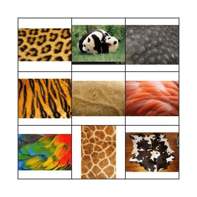 Animal Skins Bingo Card