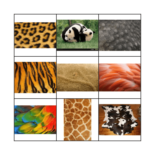 Animal Skins Bingo Card