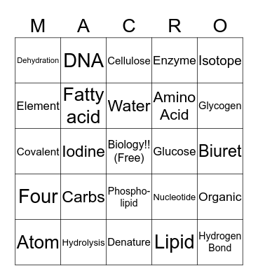 Macromolecule Bingo Card