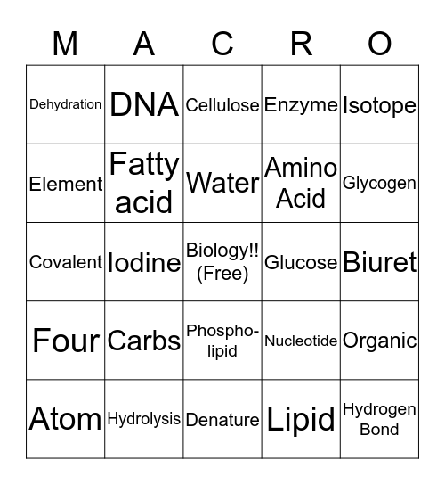 Macromolecule Bingo Card