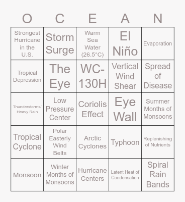 Hurricanes and Monsoons Bingo Card