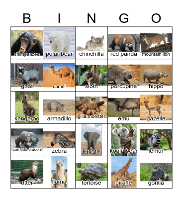 Zoo Animals Bingo Card
