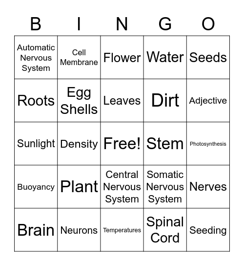 Review May 22nd Bingo Card