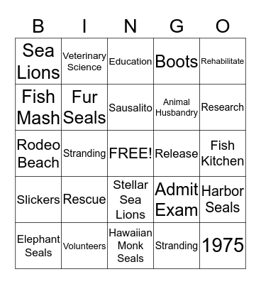 The Marine Mammal Center Bingo Card