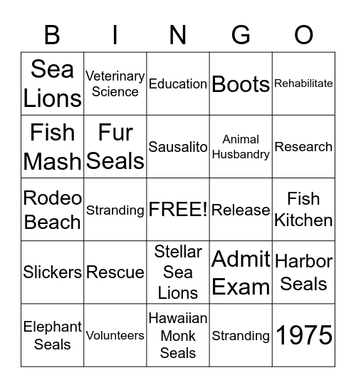 The Marine Mammal Center Bingo Card