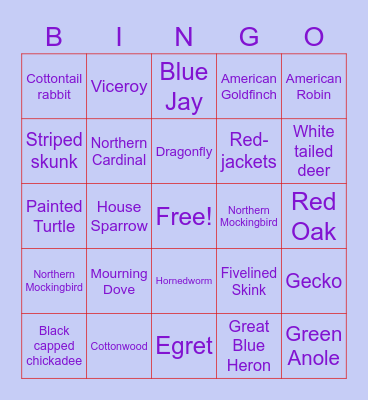 North Texas Species Bingo Card