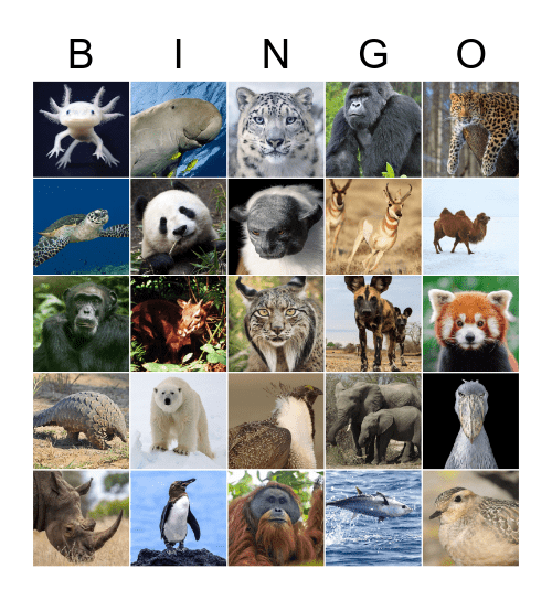 Endangered Animals Bingo Card