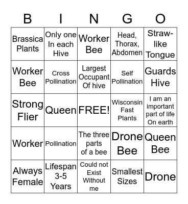 BEE Bingo Card