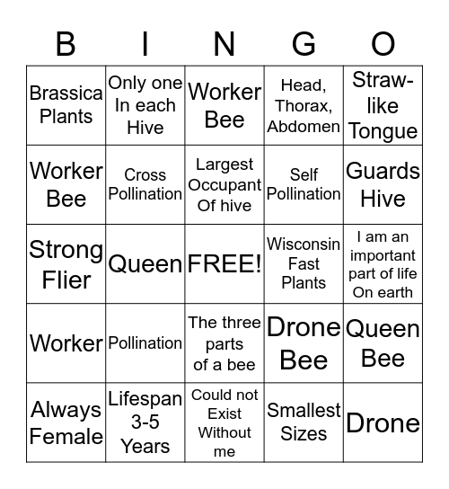 BEE Bingo Card