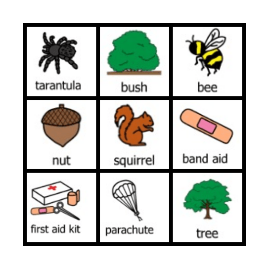 Scaredy Squirrel Bingo Card