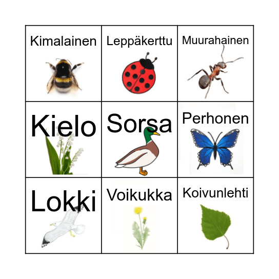 Kevätbingo Card