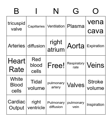 Cardio-respiratory System Bingo Card