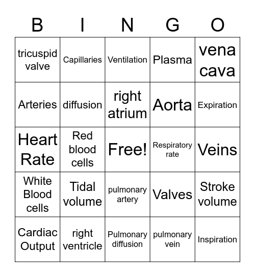 Cardio-respiratory System Bingo Card