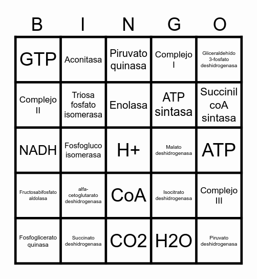 Bingo de la respiración aerobia Bingo Card