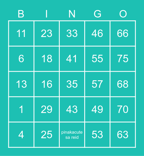 R A I L E I G H Bingo Card