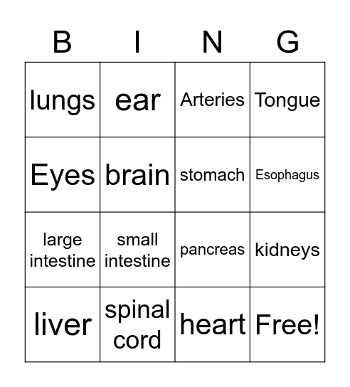 Body Organs/Parts Bingo Card