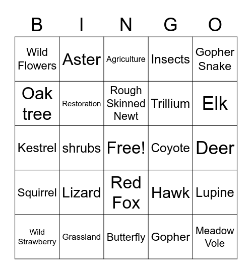 Puget Prairie Bingo Card