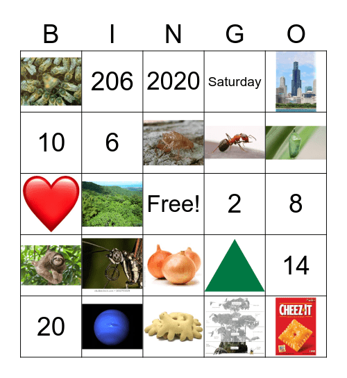 SK 107 Bingo Trivia Bingo Card