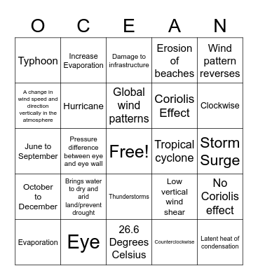 Hurricanes and Monsoons Bingo Card