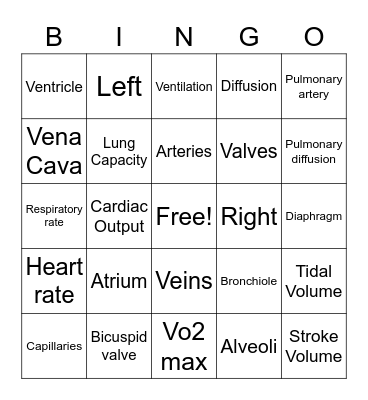 Cardio-respiratory System Bingo Card