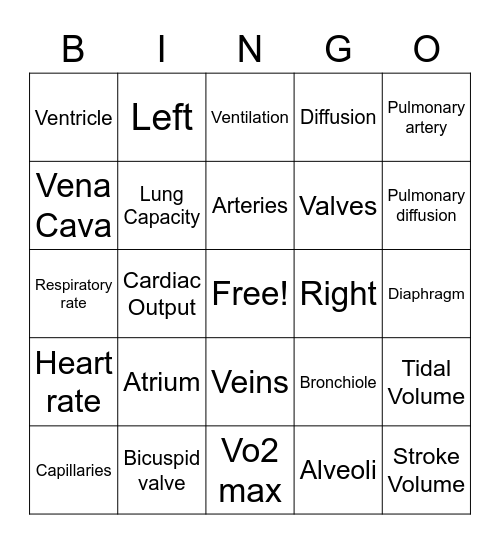 Cardio-respiratory System Bingo Card