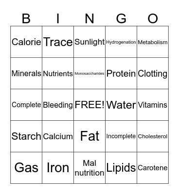 Bailey  Bingo Card