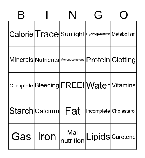 Bailey  Bingo Card