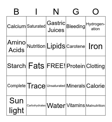 Hailey K Bingo Card