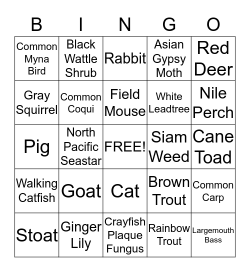 Invasive Species  Bingo Card