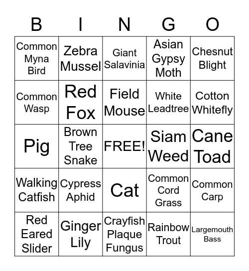 Invasive Species  Bingo Card