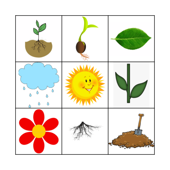 Plant Bingo Card