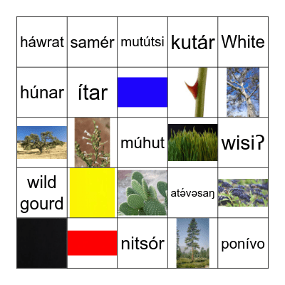 Language Review pg 2 Bingo Card