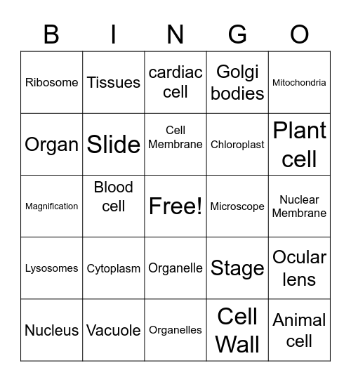 Microscopes and cells Bingo Card