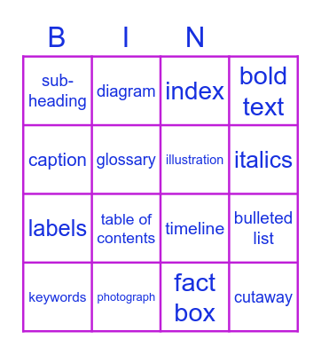 Text Features Bingo Card
