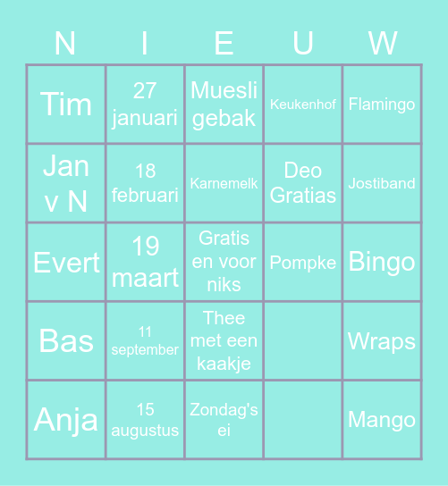 van Nieuwenhuizen Bingo Card