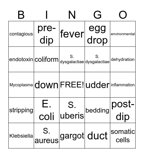 MASTITIS Bingo Card