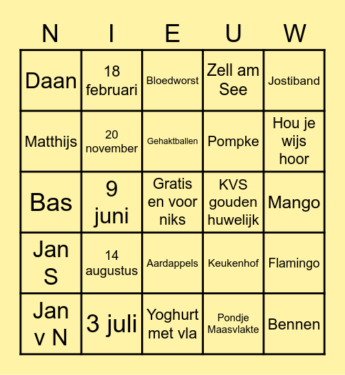 van Nieuwenhuizen Bingo Card