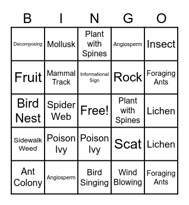 Nature Park Walk Bingo Card